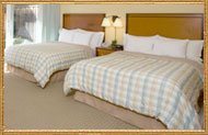 Premium King and Premium Double Rooms Feature